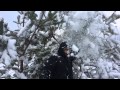 Холодно в лесу! 