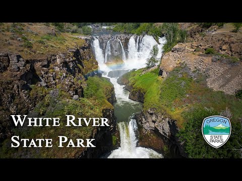 Vídeo de Scott Wehba