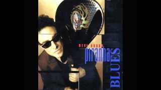 Neal Schon - blues for miles
