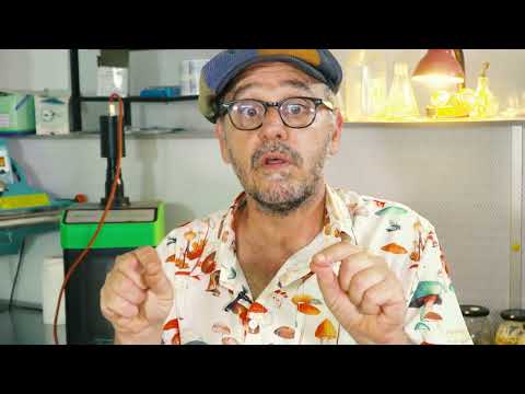 למה אסור לשים תמצית פטריות במים חמים