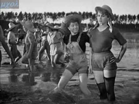 Silvana Mangano Riso Amaro