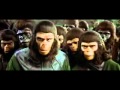 Ape shall never kill ape