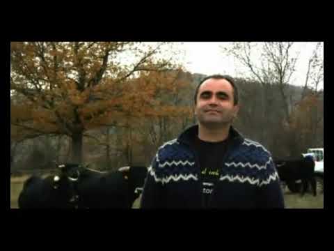 The Sierra del Rincón Biosphere and the Hayedo Montejo beech forest short documentary (in Spanish)