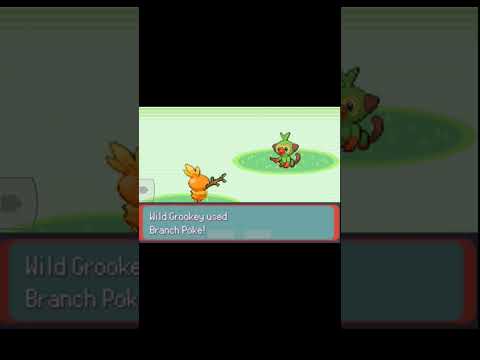 Caught Grookey 🔥🔥 l 5th Member On Team l Pokemon Quetzal l #shorts #pokemon #trending