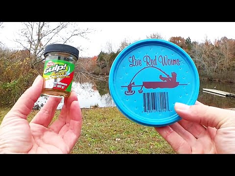 Gulp Minnows vs Live Worms - Which Bait Will Catch More Fish?
