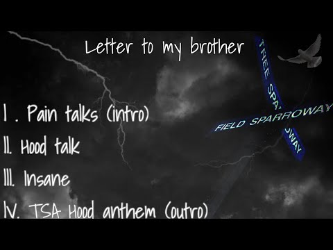 $k4our - Insane (official audio)