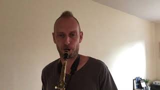 Video thumbnail for Reed test: Vandoren V21, V12 and Blue Box for saxophone by Stephan Kammerer