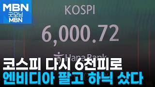 엔비디아 팔고 하이닉스 샀다…코스피 다시 6천 피로 [굿모닝 MBN]