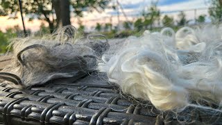 Пух ПЕРСЮК -он вот такой.Думаю, что связать из него