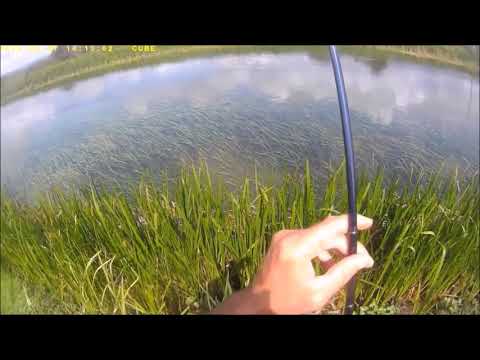 fly fishing fiume Gacka