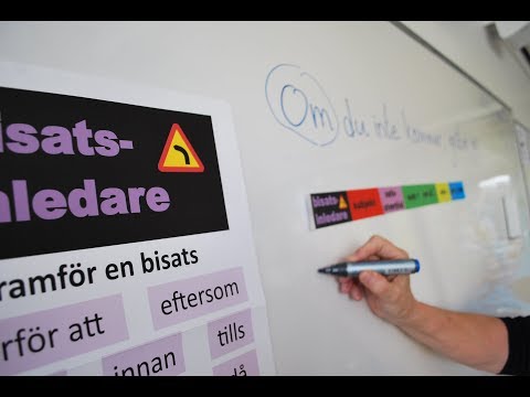 Om sfi-läromedlet Se meningen - på lätt svenska