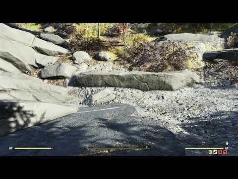 The Forest Region Scene Random Encounter Hotspot #05 - Fallout 76