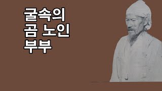 굴속의 곰 노인 부부