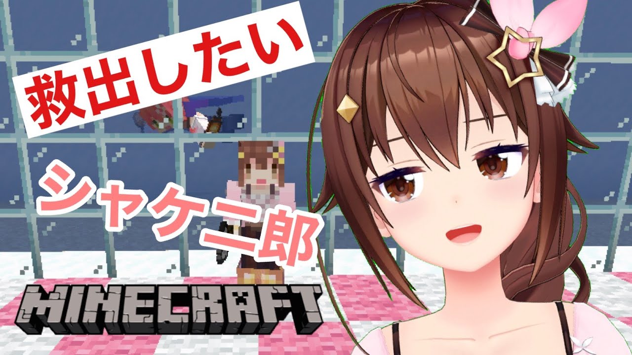 【Minecraft】マグマに負けない家づくり~シャケ次郎とわたし~【#ときのそら生放送】