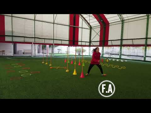 Fiori Aliaj ►Speed training