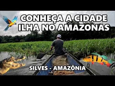 FOMOS PESCAR EM SILVES, A CIDADE ILHA DO AMAZONAS. #pesca #natureza #animal #saude #amazon #comida
