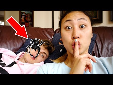 I CAUGHT A HUGE SPIDER!! (PRANK)