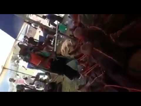 amahlubi Akwa mango G14