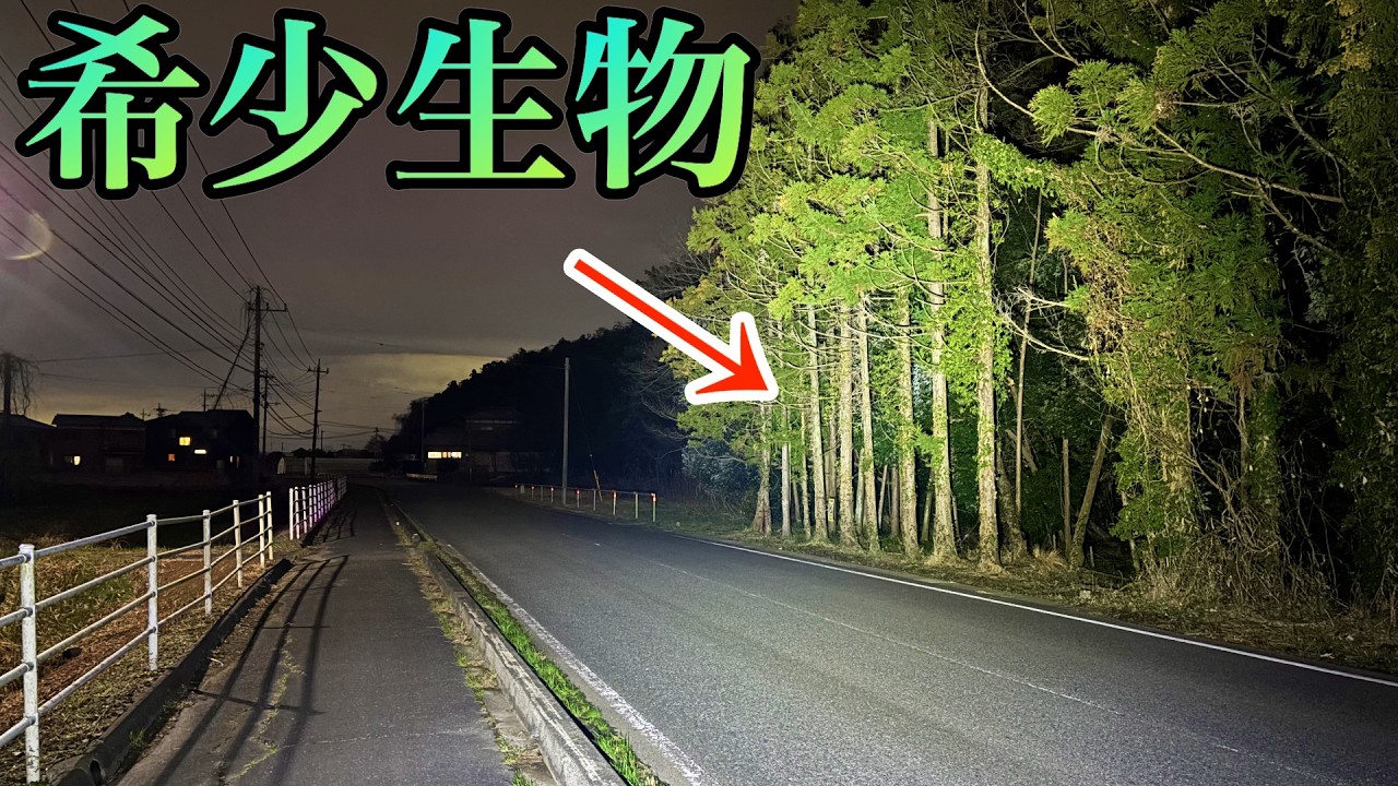 身近な場所に見たことない生物は生息しています