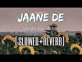 Jaane De Slowed Reverb Qarib Qarib Single Atif Aslam Irfan Khan