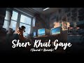 Sher Khul Gaye (Slowed + Reverb) | Vishal | Sheykhar | Fighter | Lofi Drift