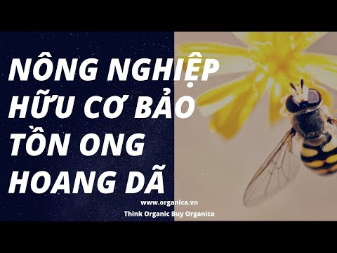 , title : 'Nông nghiệp hữu cơ giúp bảo tồn và phát triển các loài ong hoang dã'