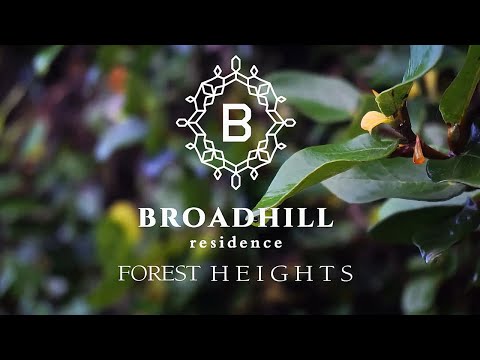 Broadhill, Forest Heights
