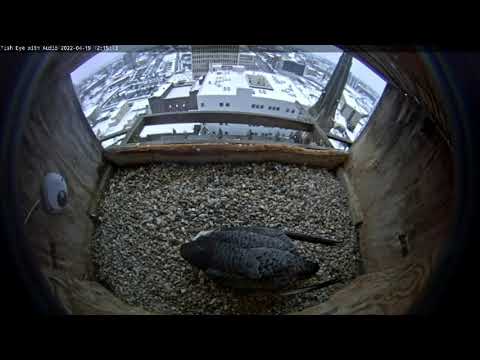 April 19 2022 Midday changeover 1214PM