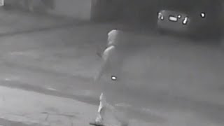 Three murders in 10 days prompt fears of a serial killer in Florida
