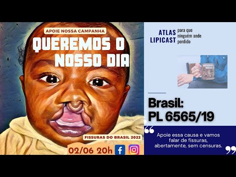 Fissuras do Brasil Se Reúne Pela Aprovação do PL6565/19