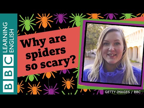 Hello from London! Why are spiders so scary?