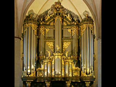 JS Bach Concerto in d minor Bwv 596 after A. Vivaldi .wmv