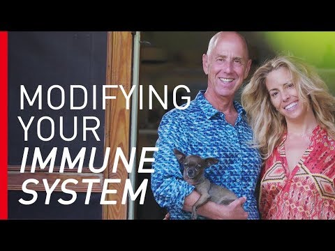 Modifying Your Immune System to Fight Cancer Video