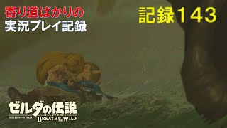 【寄り道ばかりの】ゼルダの伝説BotW【実況プレイ記録143】最後の場所