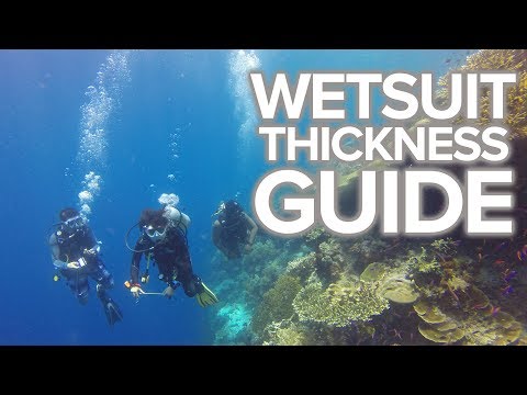 Wetsuit Thickness Guide