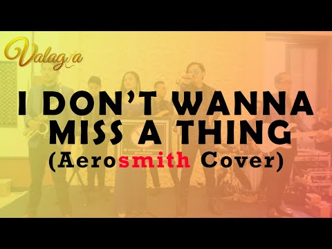 Aerosmith  - i don't wanna miss a thing  (Live Cover)