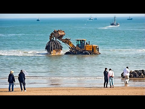 Momentos Increíbles Captados por las Cámaras