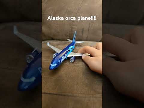 Alaska orca plane!!!!