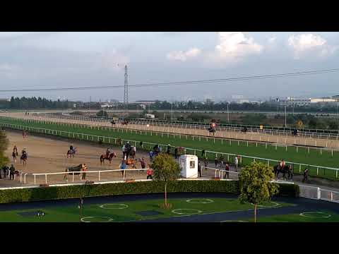 BURSA HİPODROMU SABAH İDMANLARI