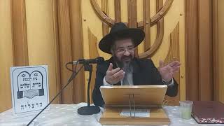 הרב אורן צדוק הלכות ירק מוחזק תולעים ברית שלום הרצליה 13.11.2019