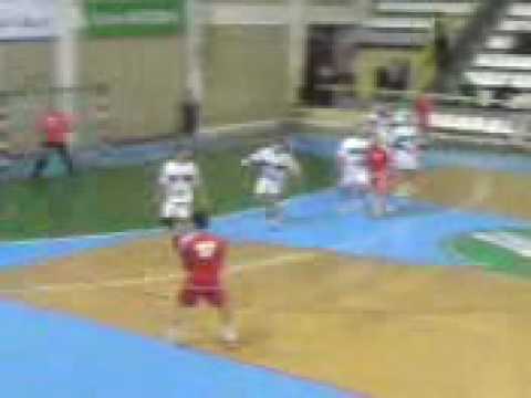 VV Tikves 06 - Metalurg