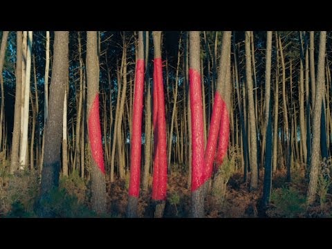 Frànçois & the Atlas Mountains - Making of Piano Ombre Artwork