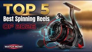Top 5 Best Spinning Reels of 2026: Ultimate Buyer's Guide & Review! 🎣