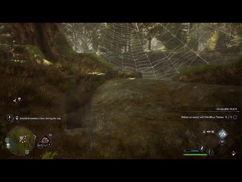Hogwarts Legacy PS5 Walkthrough Gameplay Part 15
