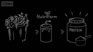 Nutrifarm Rwanda Cricket Farming LTD