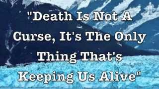 A Year In The Garden Shed (Lyrics) - Tigers On Trains