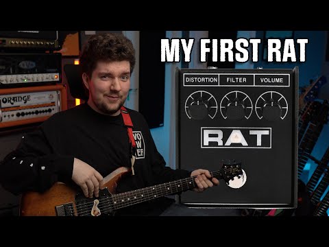 RAT by ProCo | RockBoard