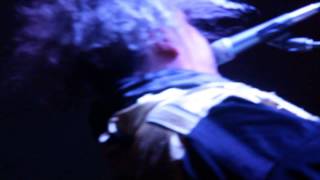 Melvins - A Growing Disgust