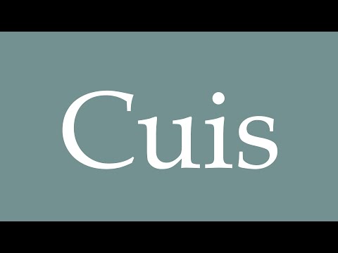 How to Pronounce ''Cuis'' Correctly in French