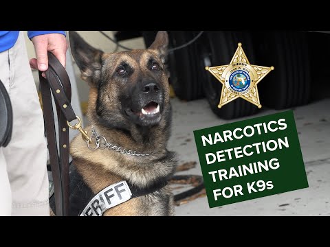 K9 Narcotics Detection Training at OCSO